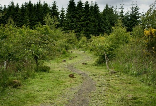 Picture Not Available