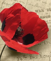 A Poppy for Remembrance